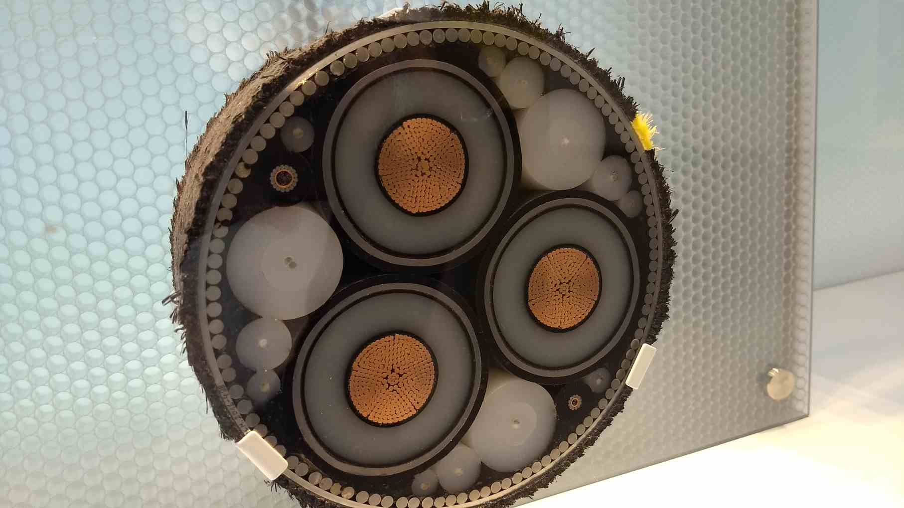 Cross section of an undersea internet cable